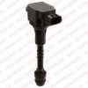 DELPHI GN10250 Ignition Coil